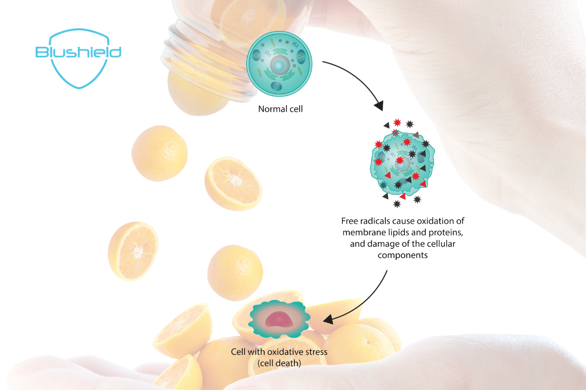 Antioxidant Vitamins C & E Protect from EMF Induced Oxidative Stress