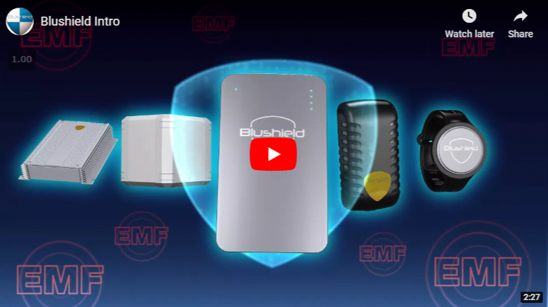 Blushield Intro Video