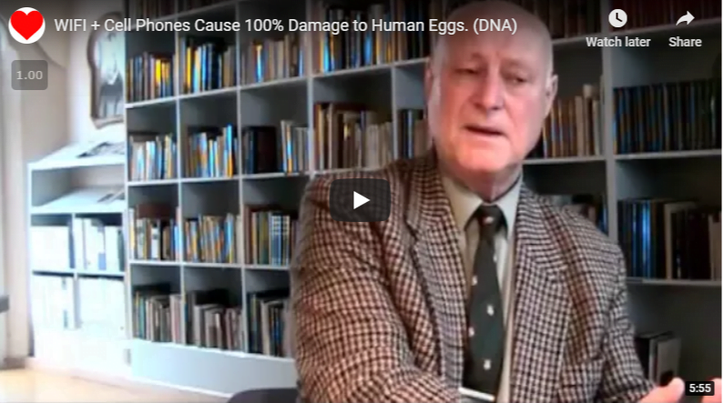 EMF's Damaging Your Children's Children