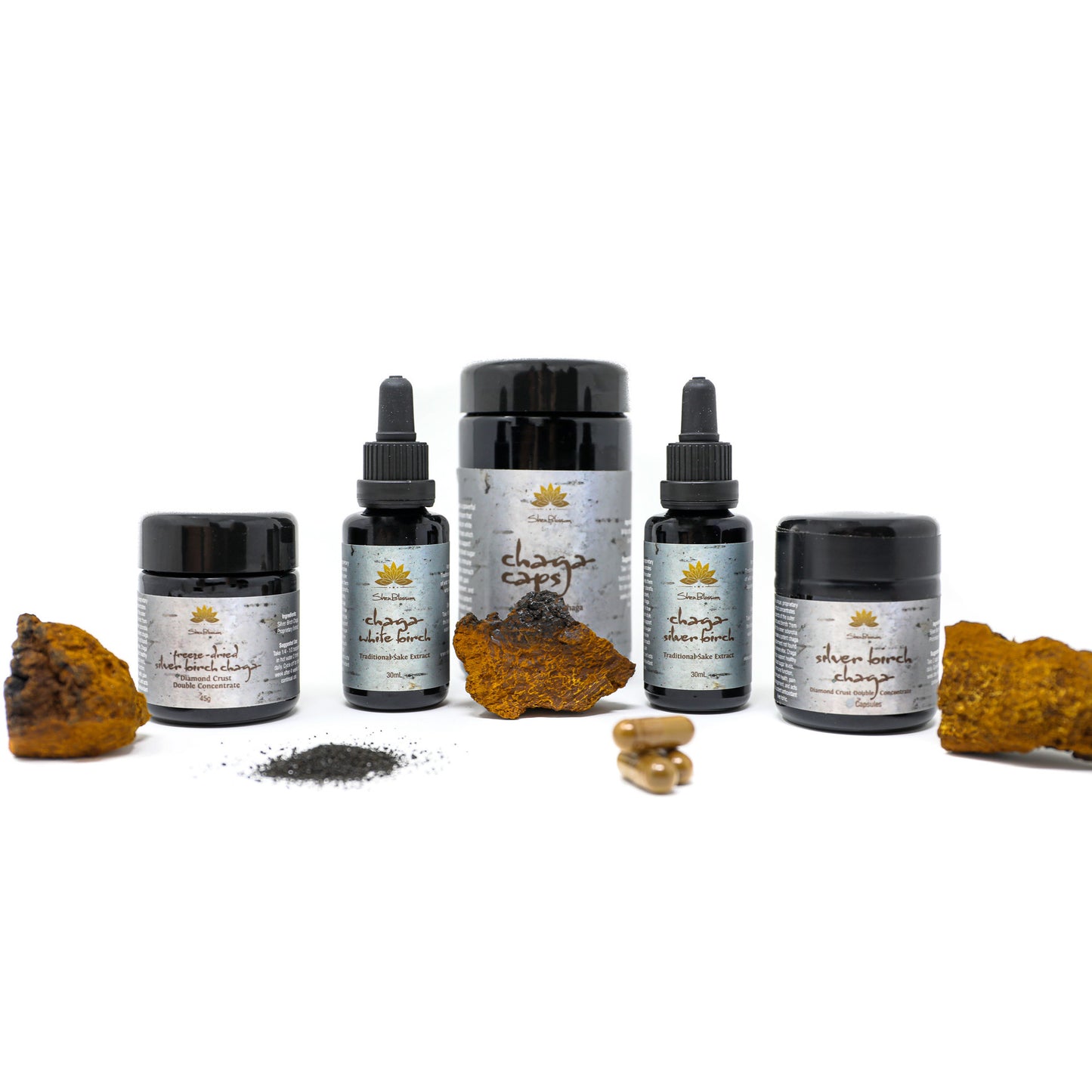 EMF PROTECTION  - product lineup of all the Chaga jars offered on the website