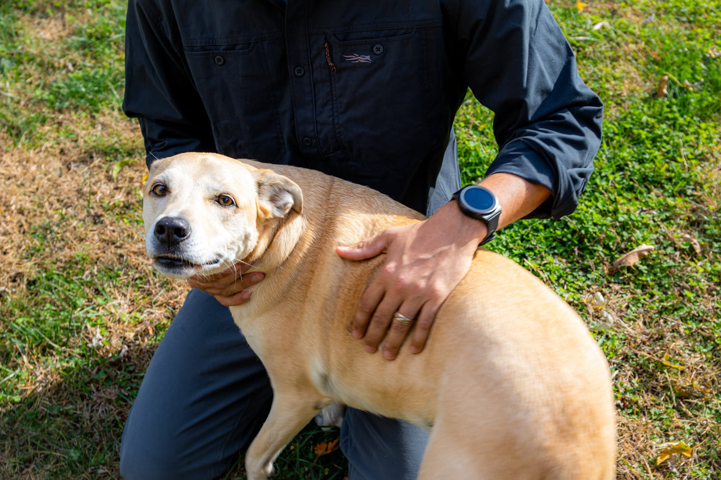 EMF PROTECTION  - W1 watch on a man's wrist who is petting a dog