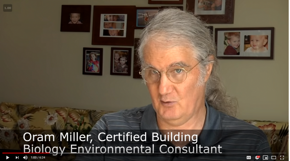 Screenshot of a video with Oram Miller, Certified Building Biologist