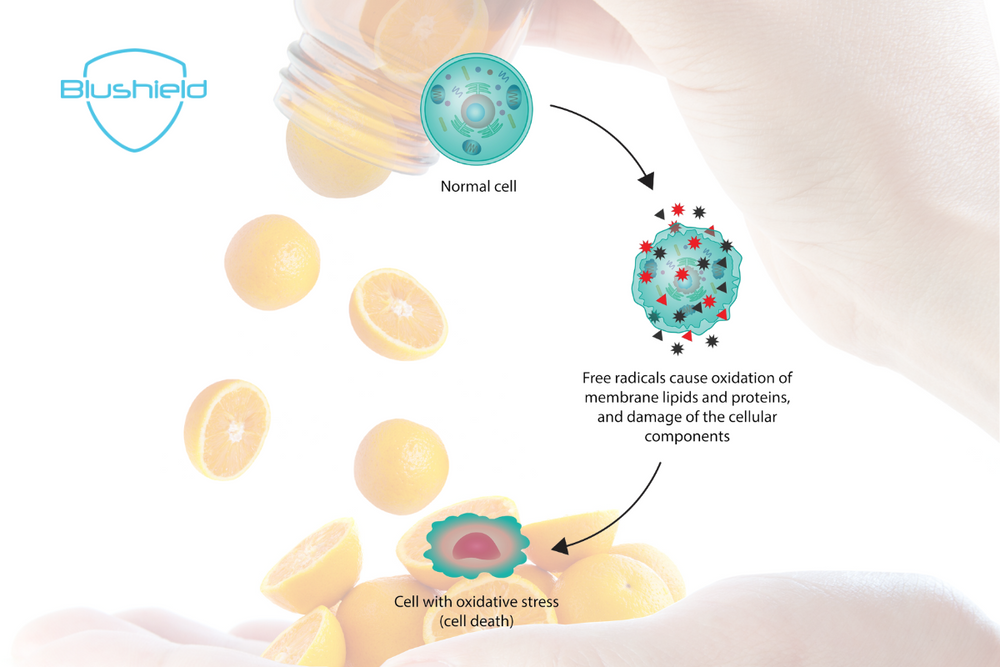 Antioxidant Vitamins C & E Protect from EMF Induced Oxidative Stress