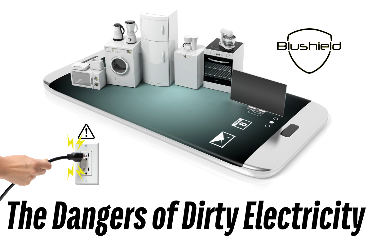 The Dangers of Dirty Electricity