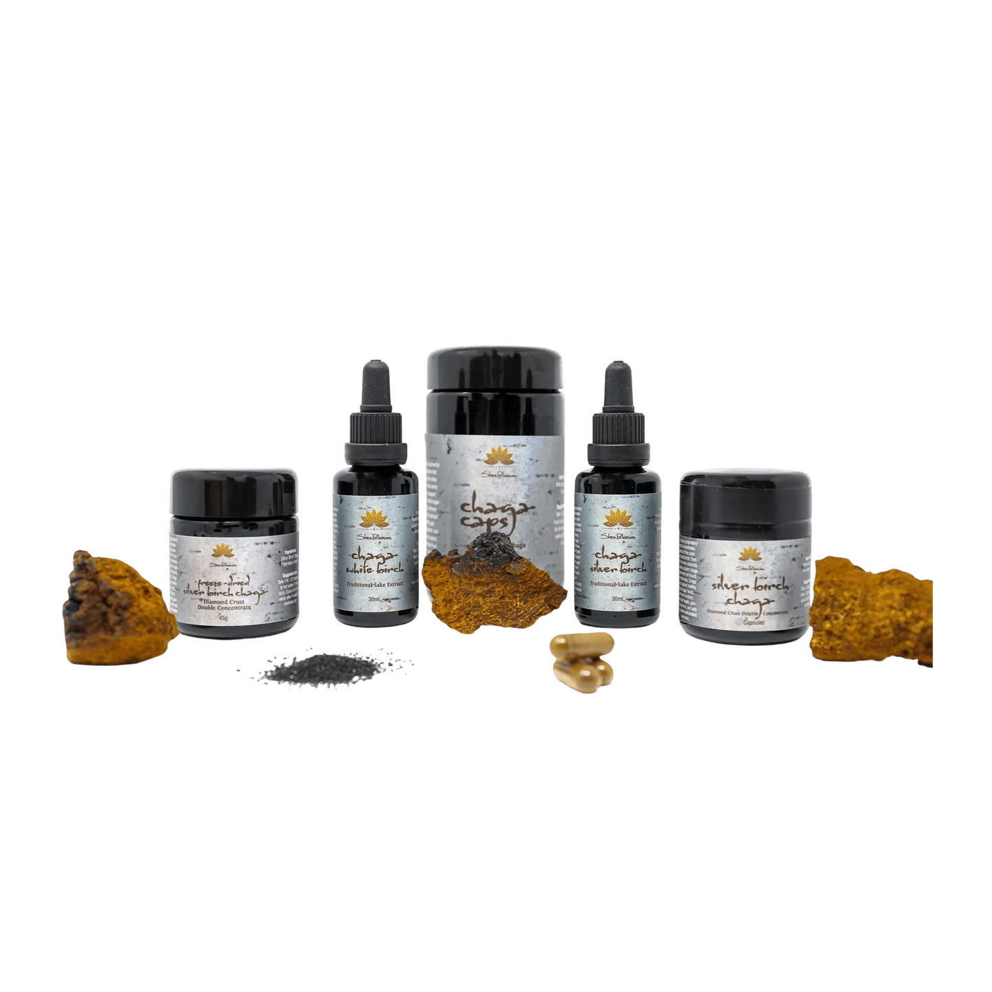 
                  
                    Chaga proprietary extract supplement
                  
                