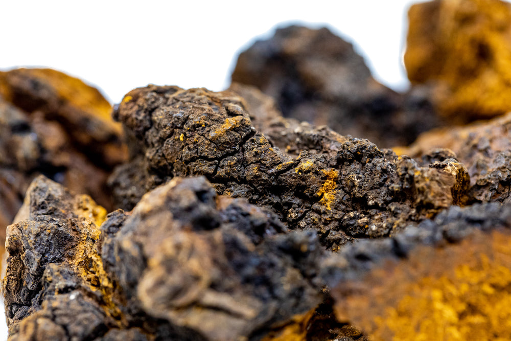 image of a bunch of chaga in its raw form