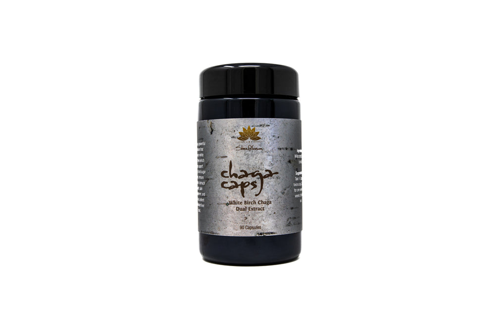image of the white birch chaga capsule jar